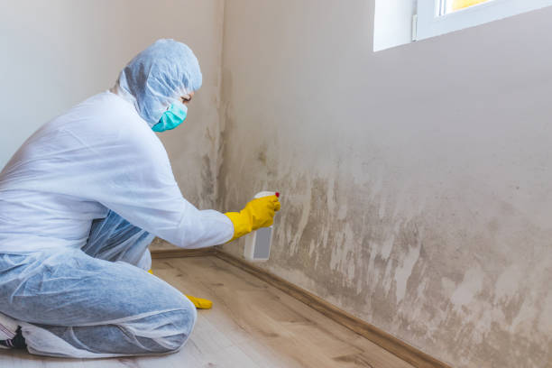 Hvac And Air Duct Mold Remediation inspection of HVAC system in Lincoln University