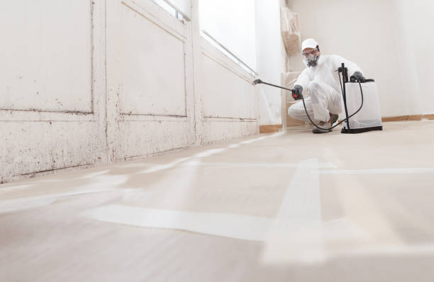 Black mold remediation team in Lincoln University